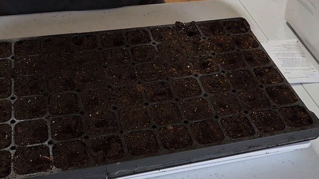 A Step by Step Guide to Starting Seeds: Exactly how I start 1000s of seeds at our flower farm смотреть онлайн