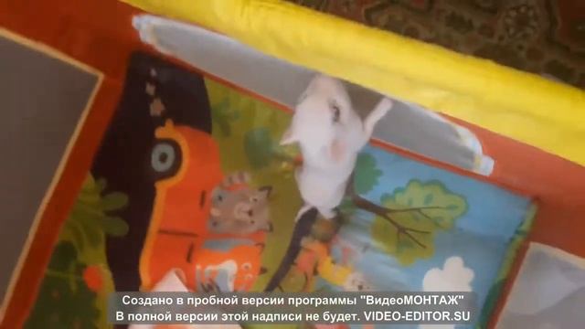 Мини пиги домашние-Светик и маленькие свинки смотреть онлайн