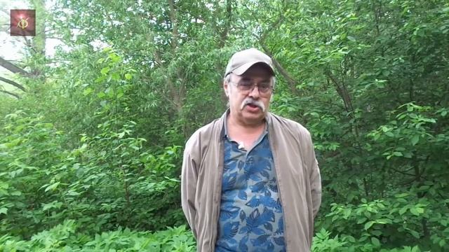 С 40 летием выпуска, мои однокашники смотреть онлайн
