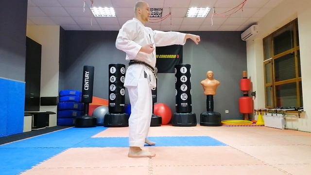 Онлайн - тренировка по каратэ|Online karate training!|Karate training at home. смотреть онлайн