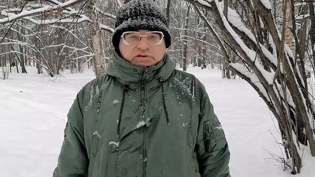 Декабрьская экскурсия по усадьбе Воронцово смотреть онлайн