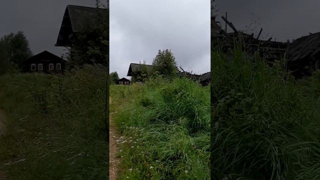 Поход. Днёвка в Шаткурге. Нашла туалет на 5 звёзд )) смотреть онлайн