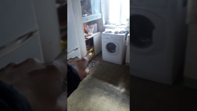 Разобрал русскую печь! смотреть онлайн