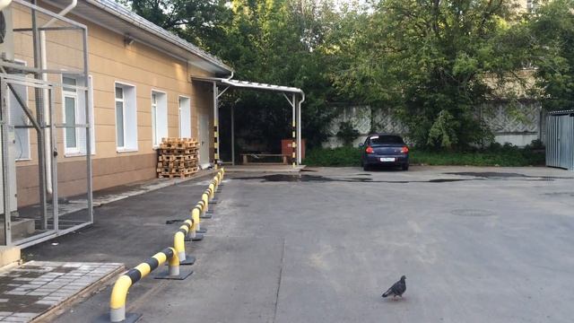 Краснодарская 29