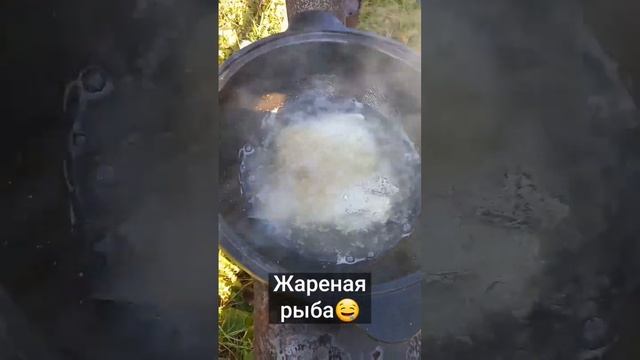 Так я ещё рыбку не готовил! В КАЗАНЕ ЖАРЮ КАРАСЯ и ЯЗЯ#казан#рыбавманке смотреть онлайн