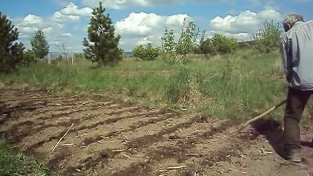 Бизнес-Советы и Инструкции