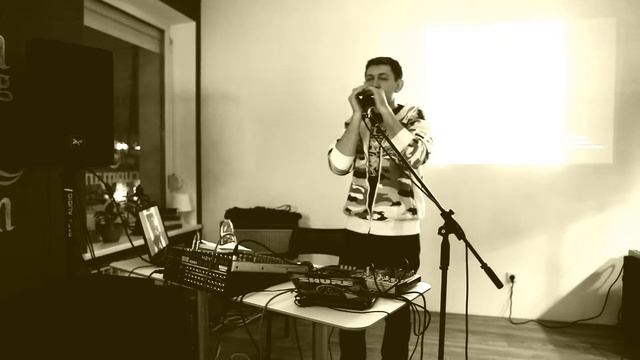 Губная гармошка Сергея Сопко (паровоз ) смотреть онлайн