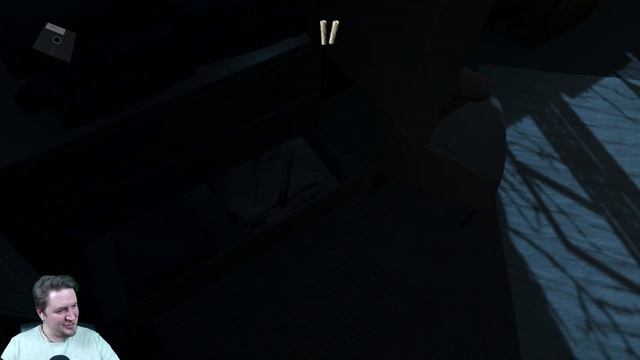 СИМУЛЯТОР ДОМОХОЗЯЙКИ? ⏩ TheNightfall смотреть онлайн