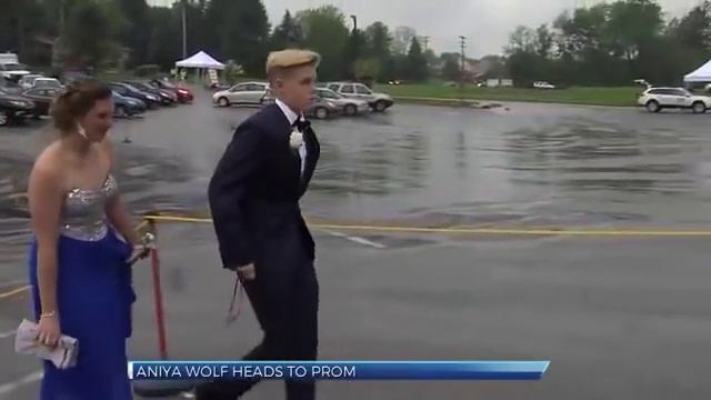 Bishop McDevitt girl kicked out of prom heads to William Penn prom смотреть онлайн