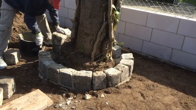 Клумбы из камня своими руками.Flower-Betten Aus Stein Mit Den Händen