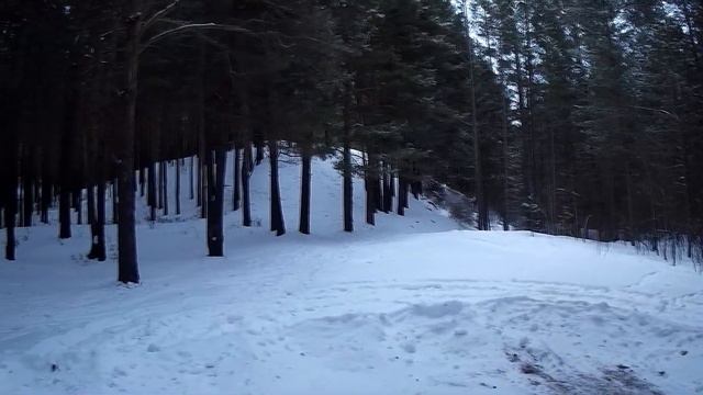 Зимняя прогулка по Шушенскому бору смотреть онлайн
