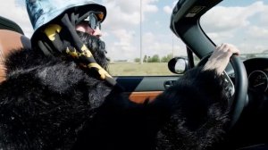 Биг Рашен BOSS