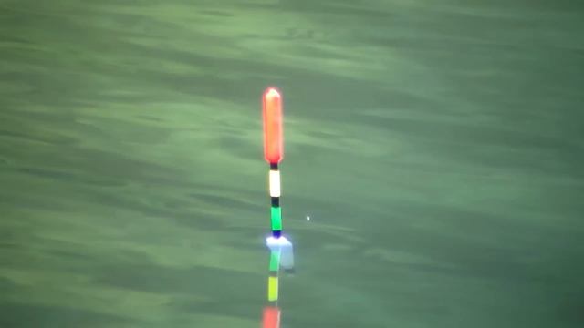 ЛОВЛЯ КАРАСЯ НА ПОПЛАВОЧНУЮ УДОЧКУ / РЫБАЛКА НА ПОПЛАВОЧНУЮ УДОЧКУ НА КАРАСЯ#familyfishing#рыбалка смотреть онлайн