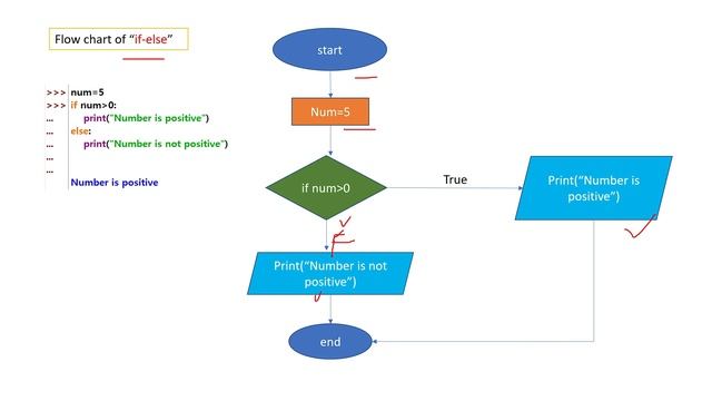 python flow chart of if-elif-else in hindi|flow chart of if-elif-else in hindi|#flowchart#avitsupau смотреть онлайн