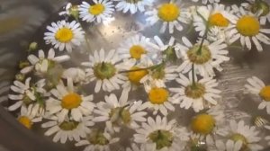 Бутунлай Култик Терлашдан Халос Булиш