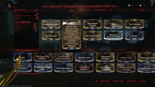 Парис Прайм Инкарнон СП билд на 07.11.2023 Paris Prime Incarnon The Steel Path смотреть онлайн
