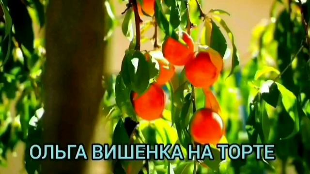 ПИРАТЫ НА НОЧНОМ ВЫГУЛЕ! ПИРАТСКАЯ ЖИЗНЬ. ОБЗОР ВЛОГА. смотреть онлайн