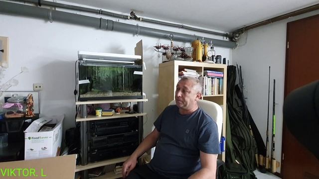Аквариум бактерии ч 2я смотреть онлайн
