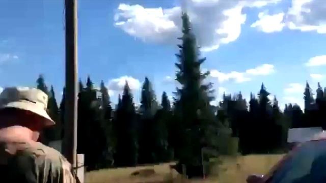 "Баня-Феникс" и жители лесной полянки смотреть онлайн