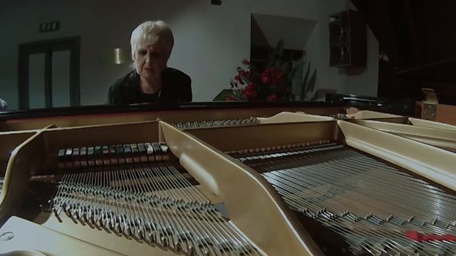 Franca Mazzola in Concerto - ELISA SOUS LE CIEL DE MILAN смотреть онлайн