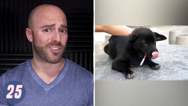 50 AMAZING Facts to Blow Your Mind! 75 смотреть онлайн