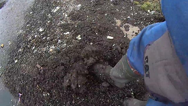 Дождевые черви нас лечат #813 смотреть онлайн
