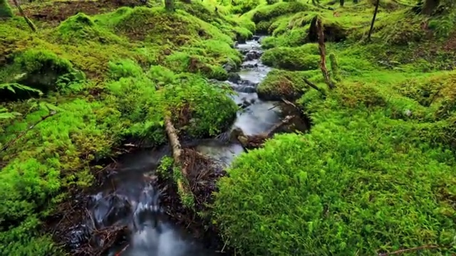 The Water From TSO Photography