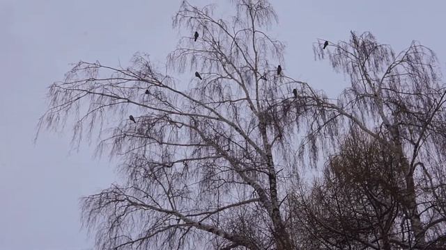 Зимний пейзаж смотреть онлайн