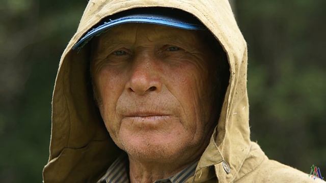 ВОЛК весь издергался, места себе в тайге не находит - все ищет Илью Гаврилыча смотреть онлайн