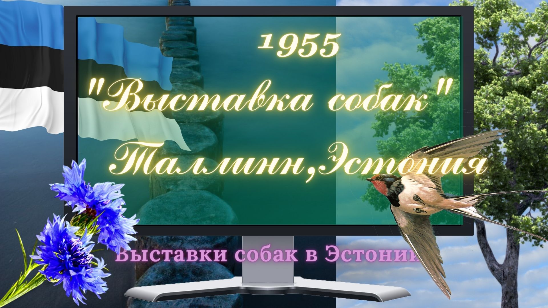 1955г. "Выставка собак". Эстонская ССР