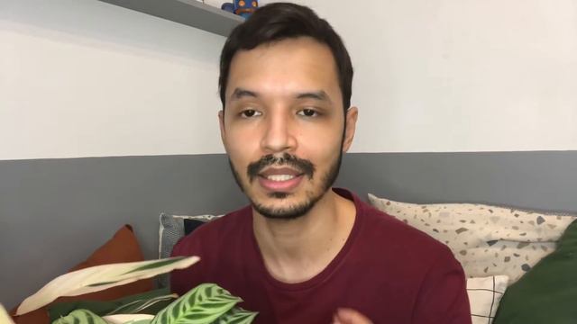 Marantas: Dicas De Cultivo + Arranjo De Marantas #maranta #plantas #jardim