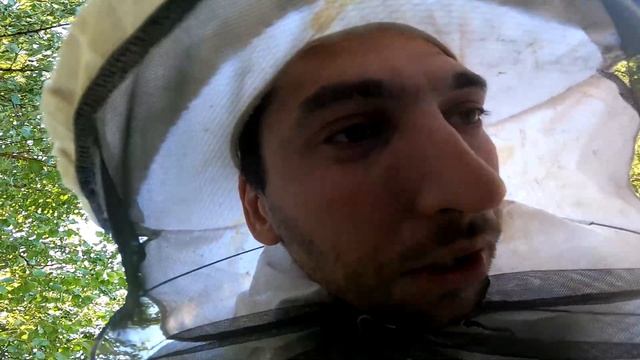 ||ДЕНЬ 204|| Формирую гнёзда в зиму. Набиваю подушки синтепоном. смотреть онлайн