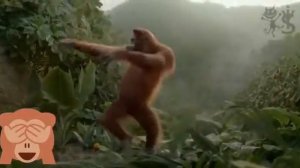 Супер танец попробуй повтори !!!новый челлендже