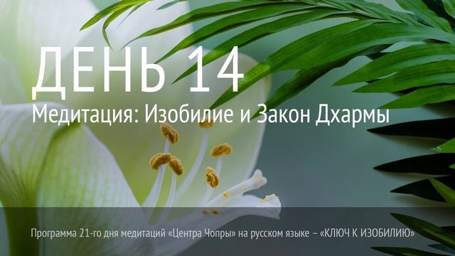 День 14. Медитация: Изобилие и Закон Дхармы смотреть онлайн