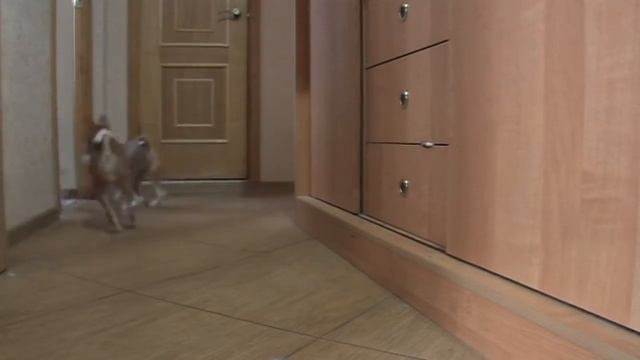 Бег / Run смотреть онлайн