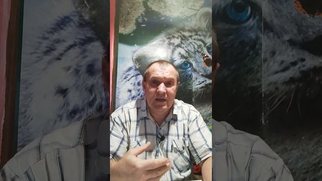 ЧТО ЗНАЧИТ ДЛЯ ТЕБЯ ВЕЧЕРЯ ГОСПОДНЯ? 11 ГЛАВА 2 ЧАСТЬ смотреть онлайн
