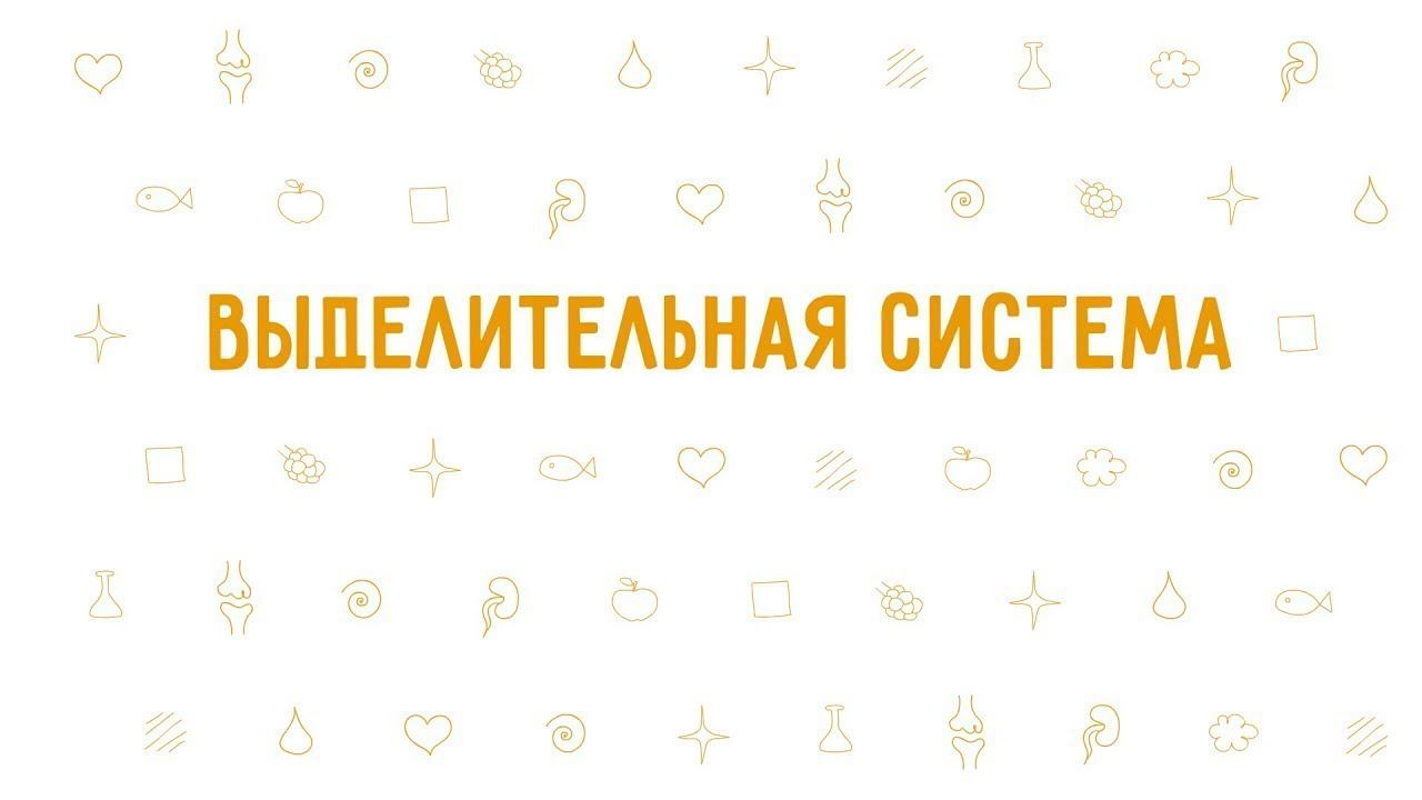 18. Выделительная система . Окружающий мир - 3 класс смотреть онлайн