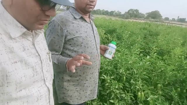 वायरस कन्ट्रोल के लिए V-Bind Viricide प्रयोग करें और 100% रिजल्ट्स पायें। смотреть онлайн