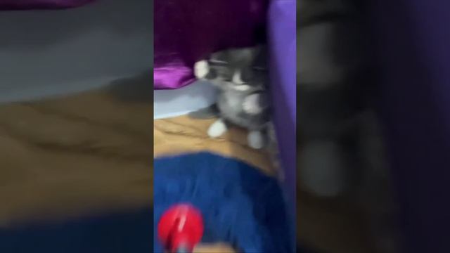 Нет сил бояться смотреть онлайн