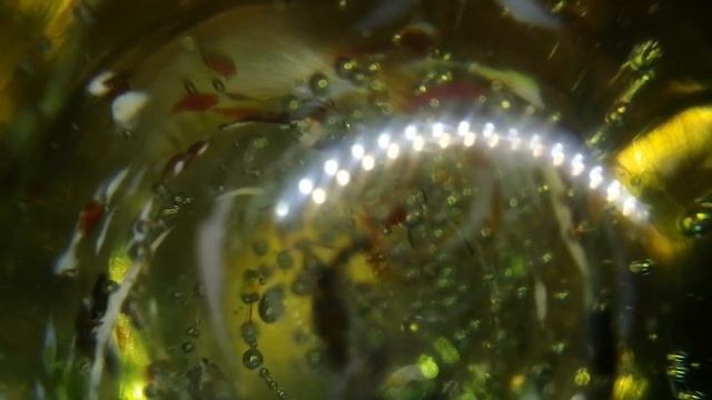 МАРИНА ЦВЕТАЕВА. ТАК БУДЕТ. СТИХИ О ЛЮБВИ. ЧИТАЕТ ОЛЬГА ШУБИНА. 03.02.2021 18 + смотреть онлайн