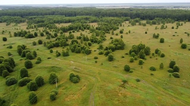 Мамина дача июль 2021 смотреть онлайн