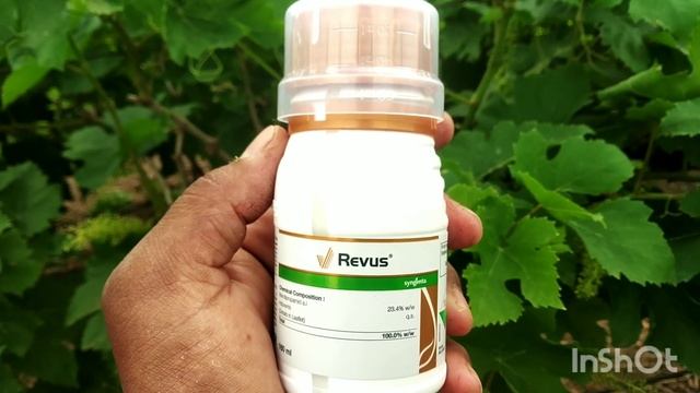 Revus Fungicide\रेवस फफूंदनाशी