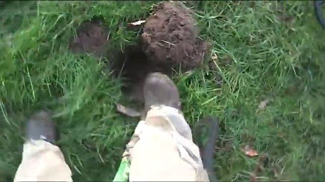 Minelab Explorer maximum depth P2 смотреть онлайн