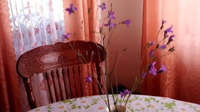 Мариную молодую капусту смотреть онлайн