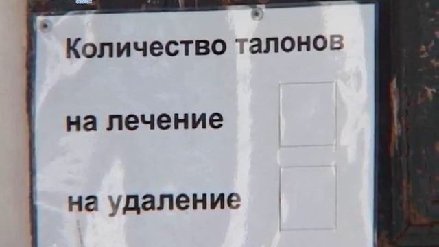 Бесплатная стоматология смотреть онлайн