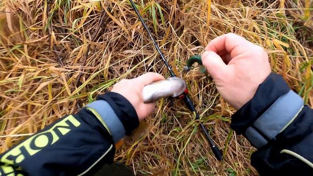 Cъедобный виброхвост Lucky John Slim Shaker смотреть онлайн