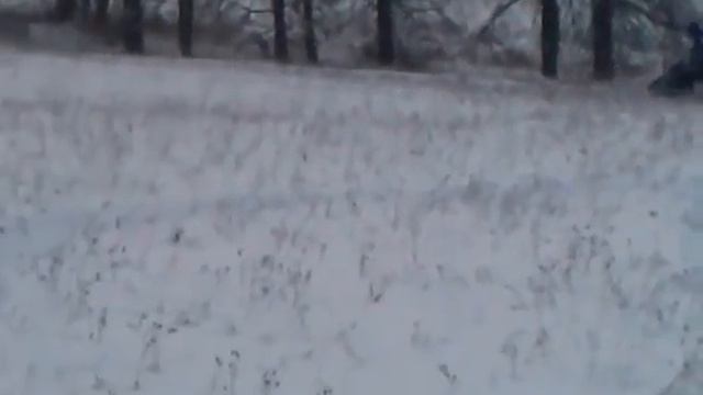 arctic cat bearcat 570 xt.mp4 смотреть онлайн