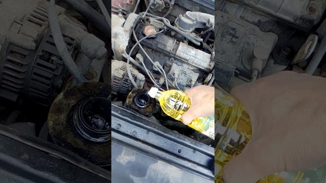 Подсолнечное масло (белорусское)в ГУР. Что будет?