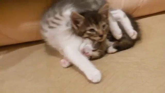 Устал сильно смотреть онлайн