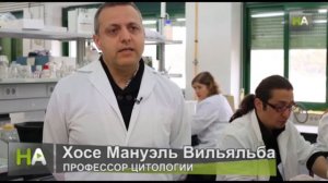 НА Свиной жир замедляет процесс старения и может использоваться в лекарственных препаратах